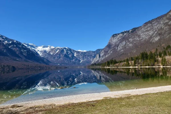 Vue Sur Lac Bohinj Sommet Enneigé Des Alpes Juliennes Parc — Photo