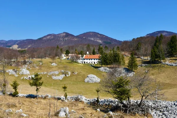 Landschaft Auf Dem Waldplateau Trnovo Oberhalb Von Ajdovscina Slowenien Mit — Stockfoto