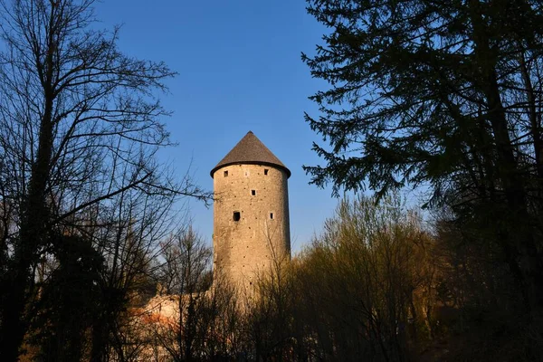 Slovenya Nın Notranjska Kentindeki Planina Yakınlarındaki Ravbar Kulesinin Ortaçağ Kalıntıları — Stok fotoğraf