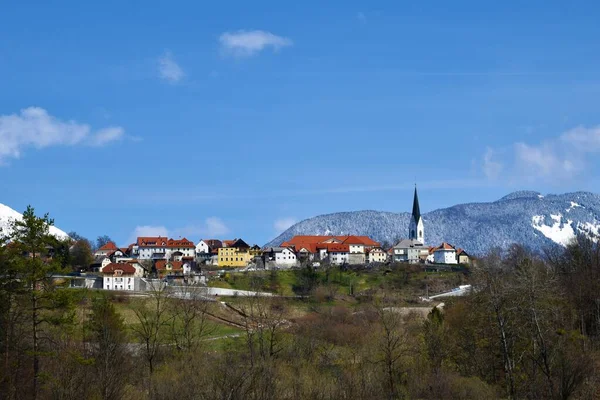 Kilátás Radovljica Város Gorenjska Szlovénia — Stock Fotó