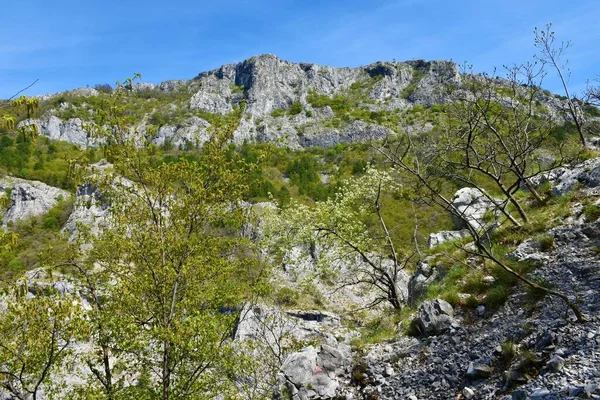 Pico Rocoso Montaña Sobre Val Rosandra Valle Glinscica Cerca Trieste — Foto de Stock