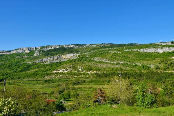 Blick Auf Felswände Und Bewaldete Hänge Karstrand Istrien Und Primorska — Stockfoto