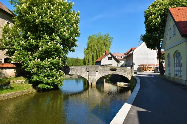 Vue Sur Rivière Bistrica Dans Ville Ribnica Vieux Pont Pierre — Photo