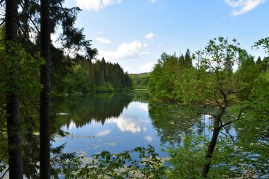 Slovenya 'nın Dolenjska kentinde Kocevska reka yakınlarında bir ormanla çevrili Resko jezero gölünü izle