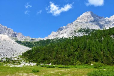 Cortina d Ampezzo yakınlarındaki Dolomite Dağları 'nın yamaçlarında Alp çayırı ve tarla ormanı Sorapis' te yer alıyordu.