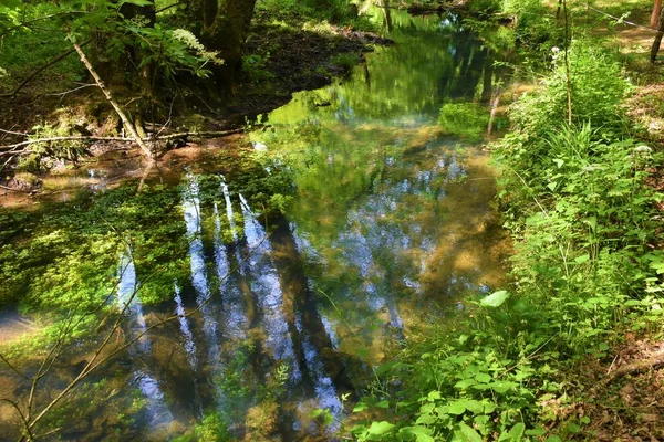 Fluxo Lahinja Colorido Com Reflexo Folhagem Água Bela Krajina Dolenjska — Fotografia de Stock