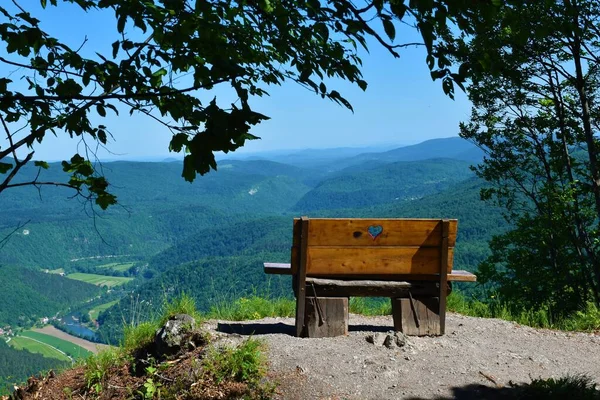 Kozice bakış açısından Kolpa Nehri Vadisi manzarası ve Dolenjska, Slovenya 'da kalbi olan ahşap bir bank