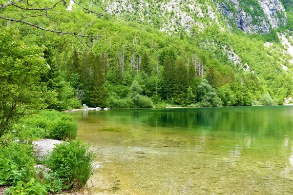 Widok Jezioro Bohinj Góry Wznoszące Się Powyżej Alpach Julijskich Parku — Zdjęcie stockowe