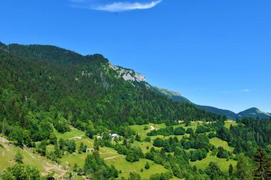 Slovenya 'nın Gorenjska kentindeki Ratitovec Dağı' nın eteklerinde orman ve çayır örtüldü