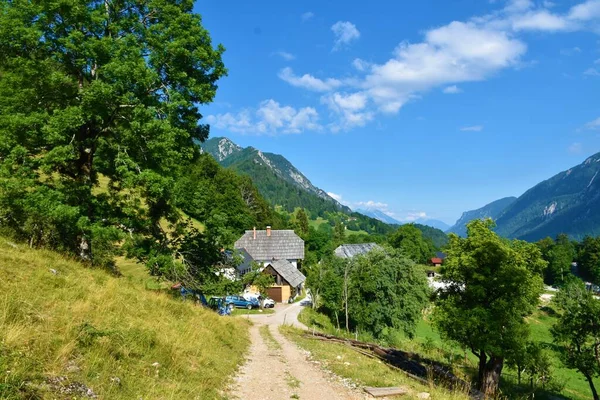 View Farm House Srednji Vrh Village Kranjska Gora Gorenjska Slovenia — Foto Stock