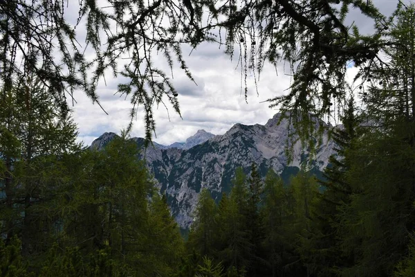 Pohled Vrchol Hory Mrzla Gora Kamnicko Savinjských Alpách Gorenjska Slovinsko — Stock fotografie