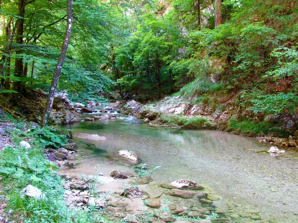 Iska River Iski Vintgar Slovenia — Fotografia de Stock