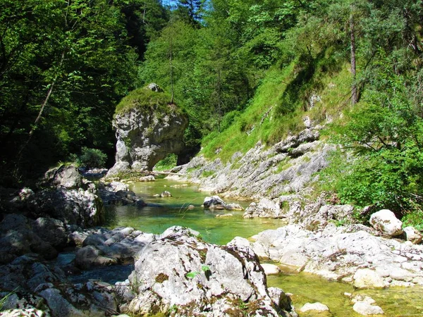 Votli Kamen Rock Formation Iska River Iski Vintgar Slovenia — стоковое фото