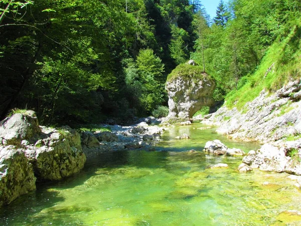 Slovenya Nın Kenti Yakınlarındaki Iski Vintgar Iska Nehirlerinde Kaya Oluşumu — Stok fotoğraf