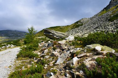 Slope covered in rocks and a large boulder next to a gravel road in High Tauern mountains in Carinthia Austria