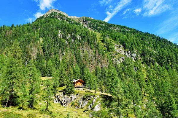 Mountain covered in conifer larch and spruce forest with a wooden lodge at Gradental valley in Schober group sub-range of Hohe Tauern in Central Eastern Alps, Carinthia, Austria