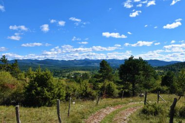 Slovenya 'nın Notranjska kentinin ormanlık arazisi Sneznik dağının tepesinden yükselmesi ve önlerinde çam ağaçları ve çalılarla kaplıydı.
