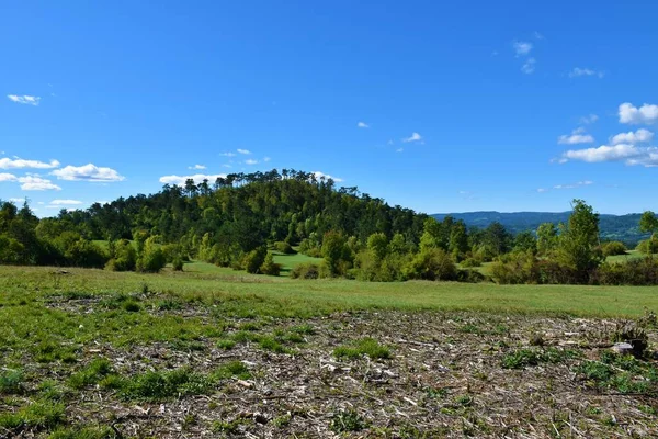 スロベニアのノトランスカにあるPivka近くのフィールドと松林のある田舎 — ストック写真