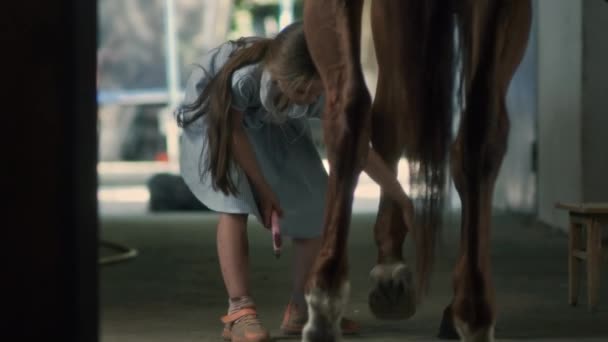 在谷仓里擦马蹄的姑娘 — 图库视频影像