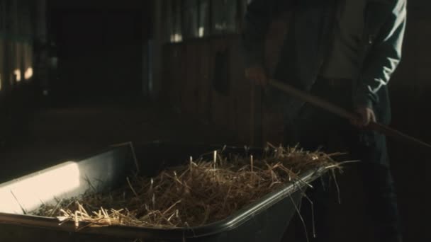 Crop man loading wheelbarrow with straw — Stock Video