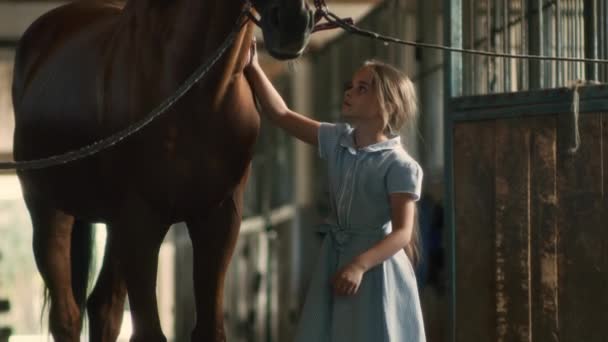 Meisje borstelen paard in de buurt stallen — Stockvideo