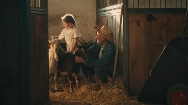 Grand-père et petite-fille caressant des chèvres — Video