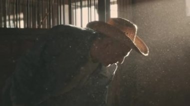 Kıdemli adam ışık huzmesindeki tozlu ahırda çalışıyor