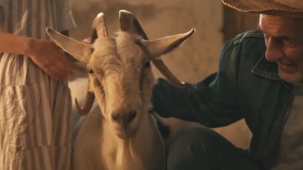 Skörd farfar och barnbarn med get — Stockvideo