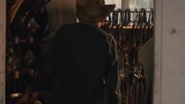 Kıdemli adam ahırda dizginleri topluyor.