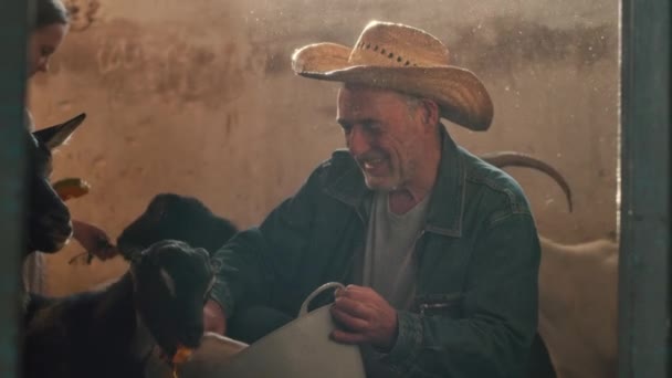 Grand-père et petite-fille prenant soin des chèvres — Video