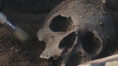 Ekin arkeoloğu insan kafatasını çıkartıyor.