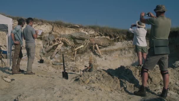 발굴 현장에서 일하고 있는 고고학자들 — 비디오