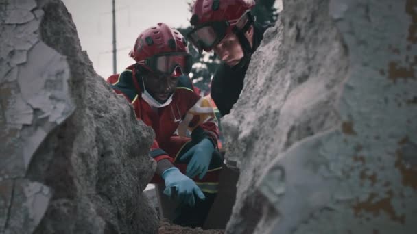 Varios trabajadores de servicios de emergencia discutiendo misión de rescate — Vídeo de stock