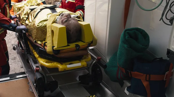 Crop paramedics loading injured survivor into vehicle — Stock Photo, Image