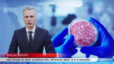 Live TV news program with male presenter who talking and reporting information about alternative artificial invitro meat and scientists