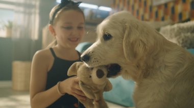 Genç kız köpekle oynuyor, gülümsüyor ve gülüyor, yumuşak halıda birlikte oturuyor, evde en iyi arkadaşıyla vakit geçiriyor. Golden retriever.