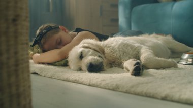 Kız ve köpek gündüz vakti yumuşak halıda uyur, yerde yatar, rüya izler, evde birlikte vakit geçirir, rahatlar ve güç toplarlar. Golden retriever.