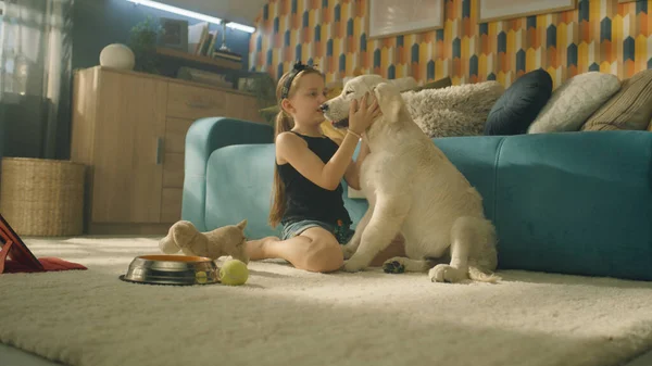Νεαρό Κορίτσι Παίζει Σκυλί Χαμογελώντας Και Γελώντας Κάθεται Μαζί Ήπια — Φωτογραφία Αρχείου