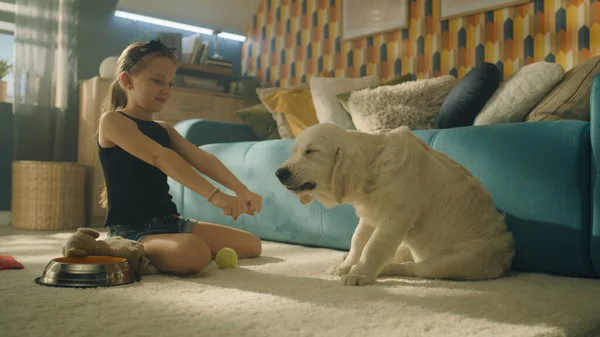 Menina Jovem Cão Alimentação Sentado Tapete Suave Juntamente Com Animal — Fotografia de Stock