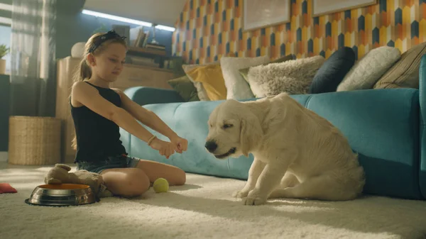 Chica Joven Alimentando Perro Sentado Alfombra Suave Junto Con Mascota — Foto de Stock