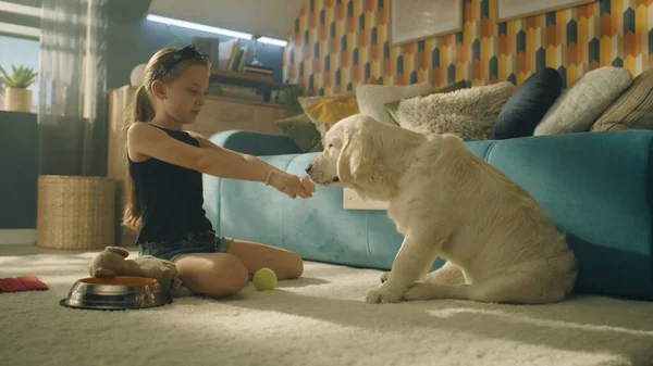 Chica Joven Alimentando Perro Sentado Alfombra Suave Junto Con Mascota — Foto de Stock