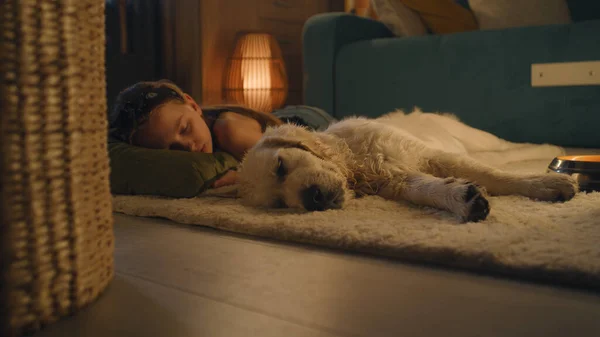 Menina Deitada Tapete Suave Com Cão Dormindo Juntos Sentindo Relaxado — Fotografia de Stock