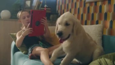 Genç kız dijital tablet bilgisayarda köpek çekiyor, en iyi arkadaşının portresini yapıyor, kişisel blog için içerik yaratıyor, evde boş zaman geçiriyor. Golden retriever.