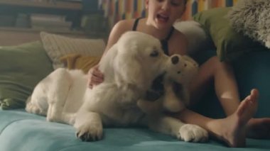 Genç kız kanepede köpek köpek köpek oynuyor, konuşuyor ve evcil hayvanlarla eğleniyor, evde boş zaman geçiriyor. Golden retriever.