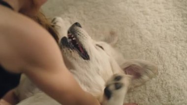 Genç bir kız hafif bir halıda köpeğini okşayıp kimlik sorar, evcil hayvanlarla oynar, onunla mutlu duygular yaşar, evde vakit geçirir. Golden retriever.