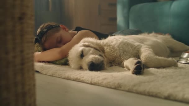 Het Meisje Hond Slapen Overdag Zacht Tapijt Vloer Kijken Naar — Stockvideo