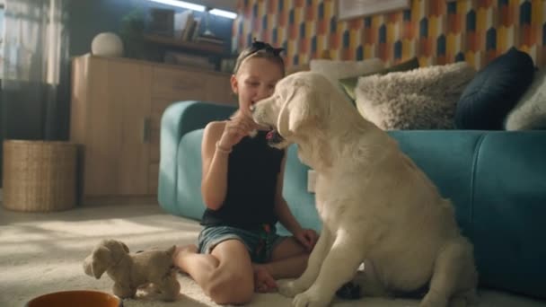 Fiatal Lány Játszik Kutyával Mosolyog Nevet Együtt Enyhe Szőnyegen Töltik — Stock videók