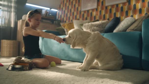 家でペットと一緒に穏やかなカーペットの上に座って話をし 子犬と遊んでいる若い女の子の餌犬 笑顔と笑い ゴールデン リトリバー — ストック動画