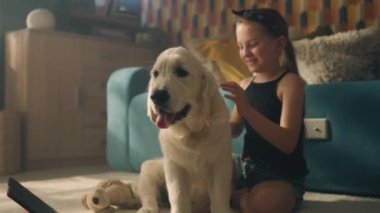 Genç kız köpeğini fırçalıyor, yumuşak halıda oturuyor, saç stili yaratıyor, gülümsüyor ve gülüyor, köpek yavrusu dinleniyor ve kendini iyi hissediyor, evde boş zaman geçiriyor. Golden retriever.