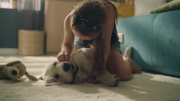 穏やかなカーペットの上で犬の口で遊んでいる若い女の子は 歯を見て 笑って笑顔 ペットと一緒に自宅で余暇時間を過ごす ゴールデン リトリバー — ストック動画